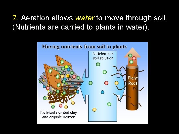 2. Aeration allows water to move through soil. (Nutrients are carried to plants in