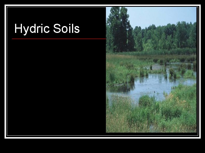Hydric Soils 