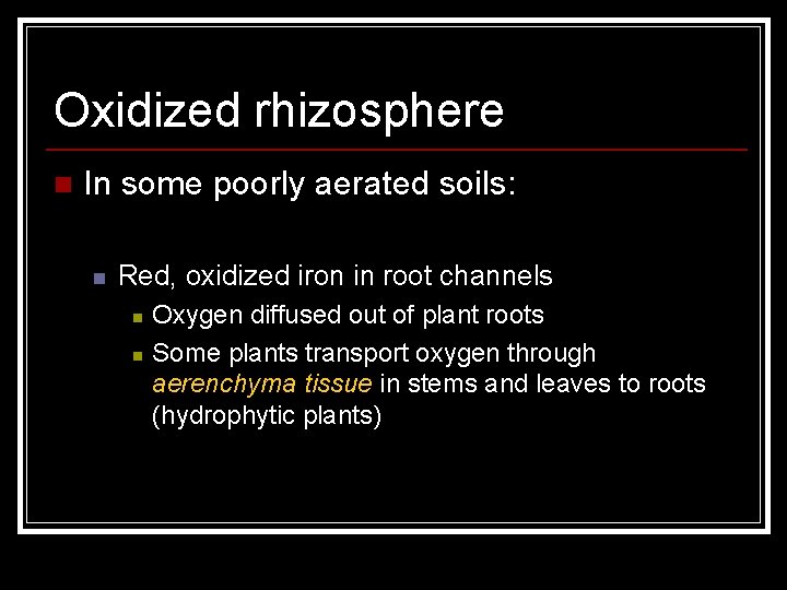 Oxidized rhizosphere n In some poorly aerated soils: n Red, oxidized iron in root