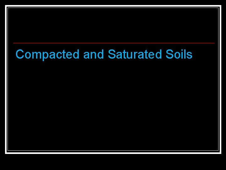 Compacted and Saturated Soils 