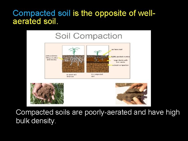 Compacted soil is the opposite of wellaerated soil. Compacted soils are poorly-aerated and have