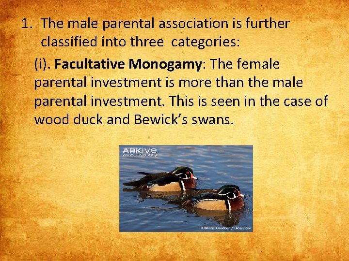 1. The male parental association is further classified into three categories: (i). Facultative Monogamy: