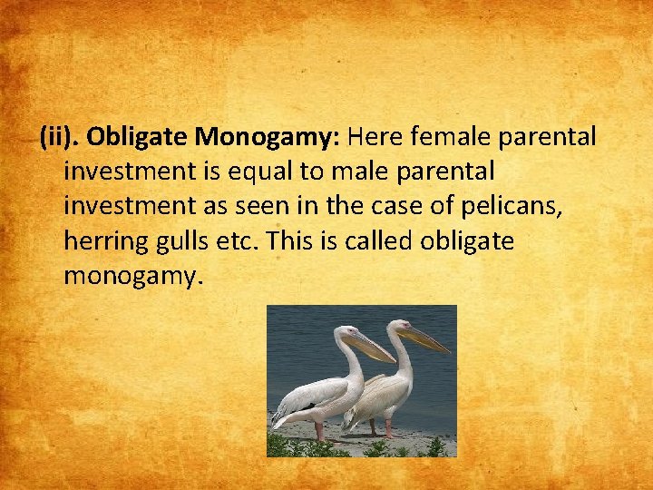 (ii). Obligate Monogamy: Here female parental investment is equal to male parental investment as