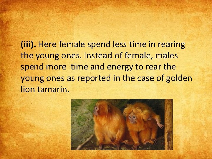 (iii). Here female spend less time in rearing the young ones. Instead of female,