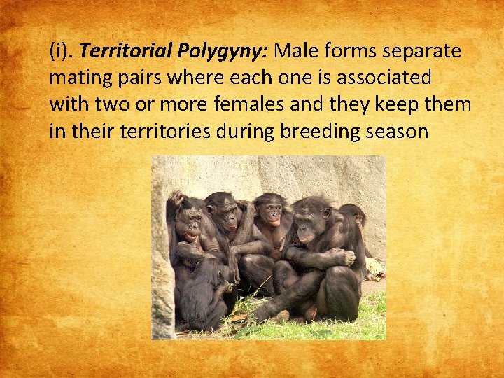 (i). Territorial Polygyny: Male forms separate mating pairs where each one is associated with