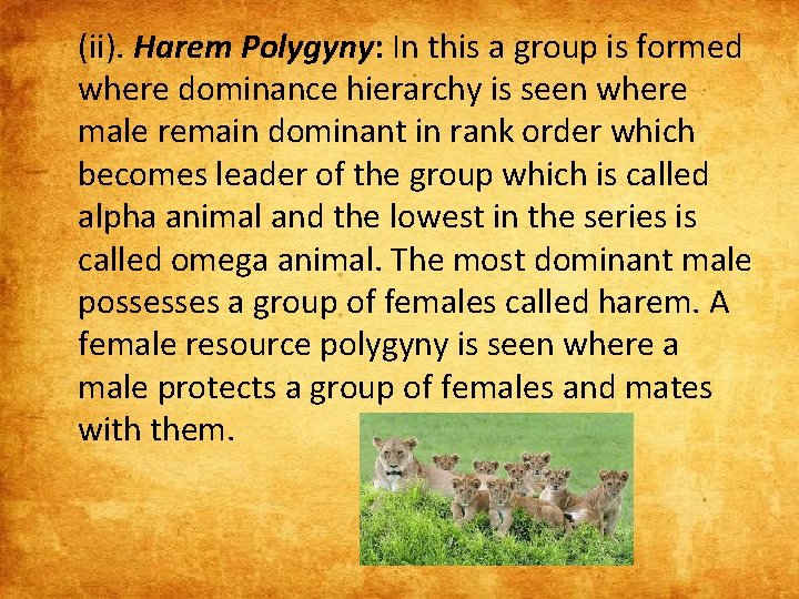 (ii). Harem Polygyny: In this a group is formed where dominance hierarchy is seen