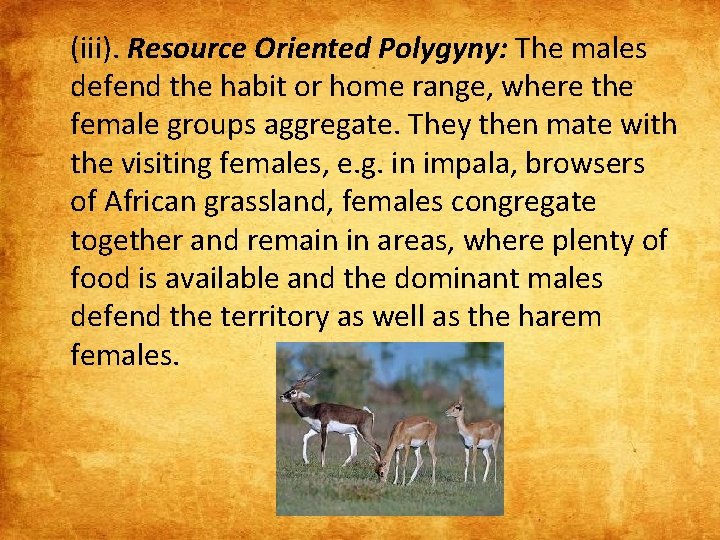 (iii). Resource Oriented Polygyny: The males defend the habit or home range, where the