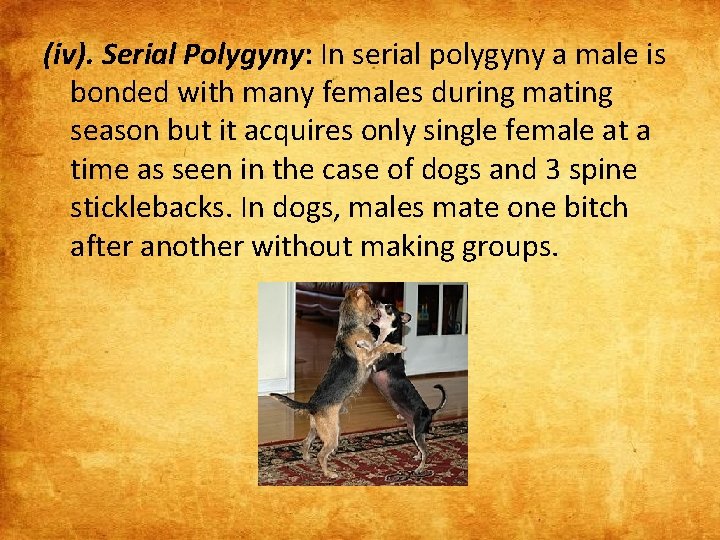 (iv). Serial Polygyny: In serial polygyny a male is bonded with many females during