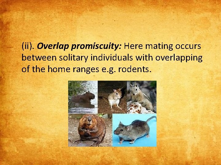 (ii). Overlap promiscuity: Here mating occurs between solitary individuals with overlapping of the home