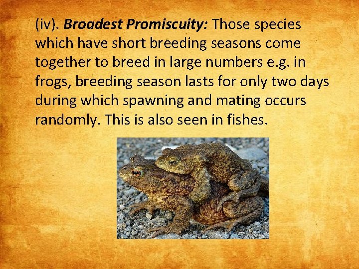 (iv). Broadest Promiscuity: Those species which have short breeding seasons come together to breed
