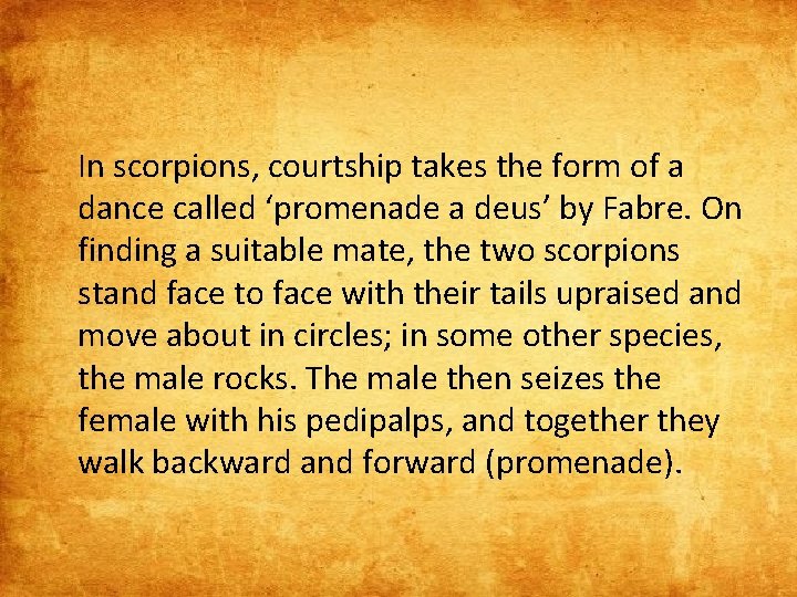 In scorpions, courtship takes the form of a dance called ‘promenade a deus’ by