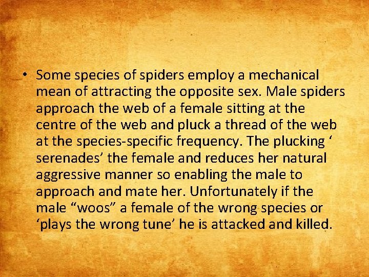 • Some species of spiders employ a mechanical mean of attracting the opposite