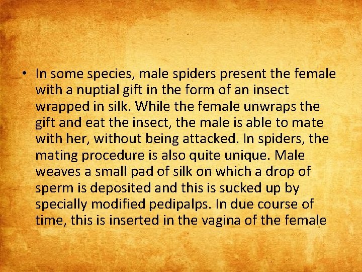  • In some species, male spiders present the female with a nuptial gift