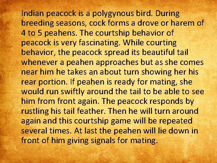 Indian peacock is a polygynous bird. During breeding seasons, cock forms a drove or