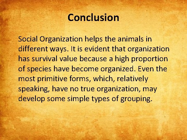 Conclusion Social Organization helps the animals in different ways. It is evident that organization