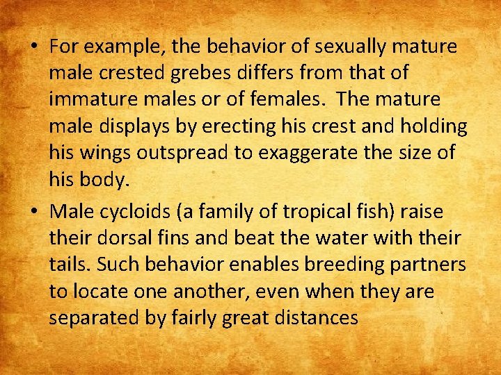  • For example, the behavior of sexually mature male crested grebes differs from