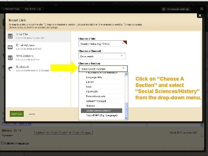 Editing Your Faculty Homepage Click on “Choose A Section” and select “Social Sciences/History” from