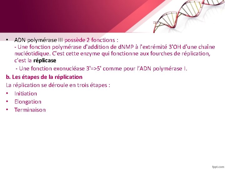  • ADN polymérase III possède 2 fonctions : - Une fonction polymérase d'addition