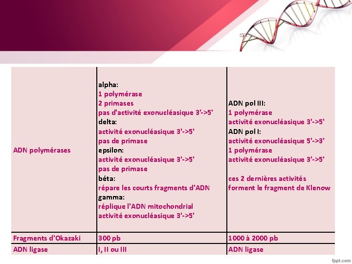 ADN polymérases Fragments d'Okazaki ADN ligase alpha: 1 polymérase 2 primases pas d'activité exonucléasique
