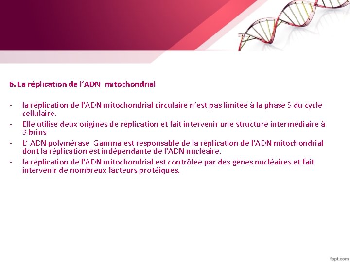 6. La réplication de l’ADN mitochondrial - la réplication de l'ADN mitochondrial circulaire n’est