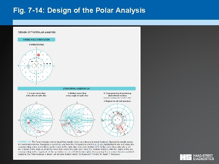 Fig. 7 -14: Design of the Polar Analysis 