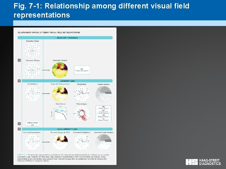 Fig. 7 -1: Relationship among different visual field representations 
