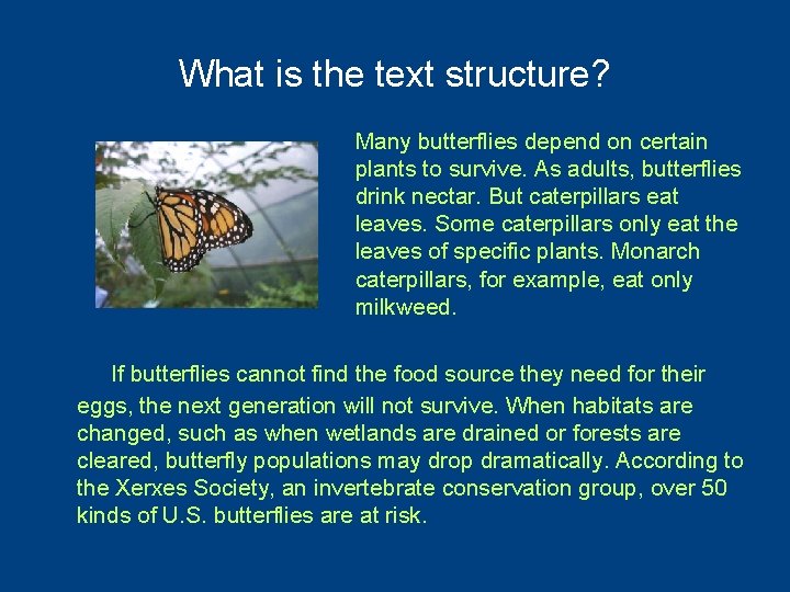 What is the text structure? Many butterflies depend on certain plants to survive. As