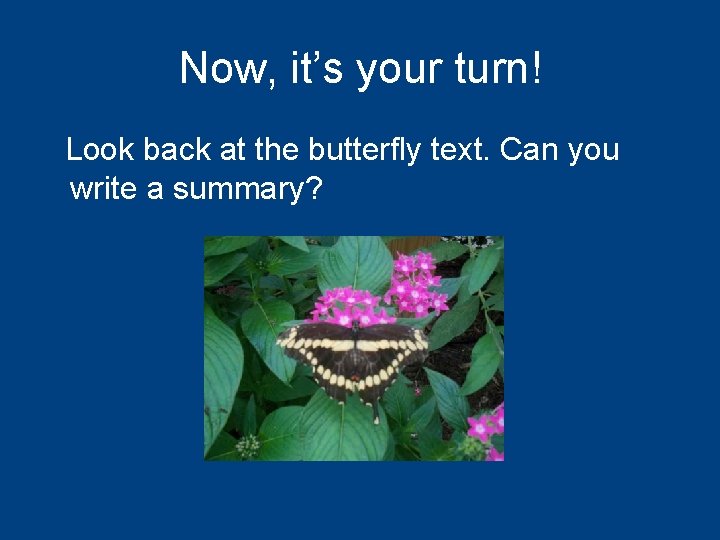 Now, it’s your turn! Look back at the butterfly text. Can you write a