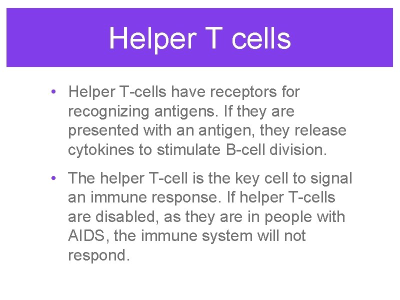 Helper T cells • Helper T-cells have receptors for recognizing antigens. If they are