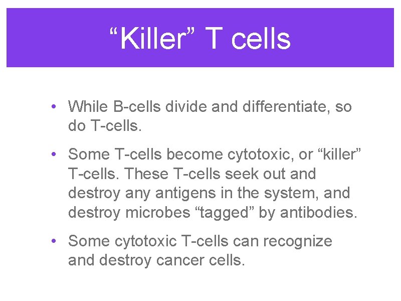 “Killer” T cells • While B-cells divide and differentiate, so do T-cells. • Some