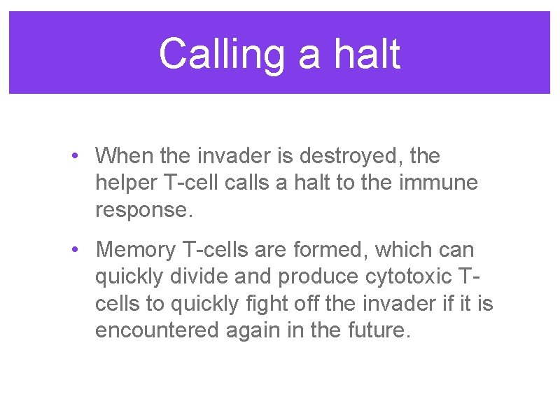 Calling a halt • When the invader is destroyed, the helper T-cell calls a