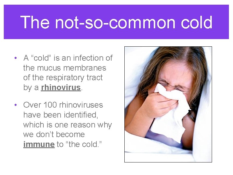 The not-so-common cold • A “cold” is an infection of the mucus membranes of