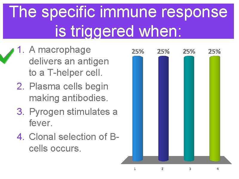 The specific immune response is triggered when: 1. A macrophage delivers an antigen to