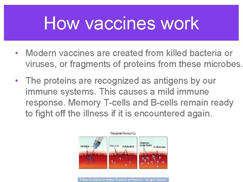 How vaccines work • Modern vaccines are created from killed bacteria or viruses, or