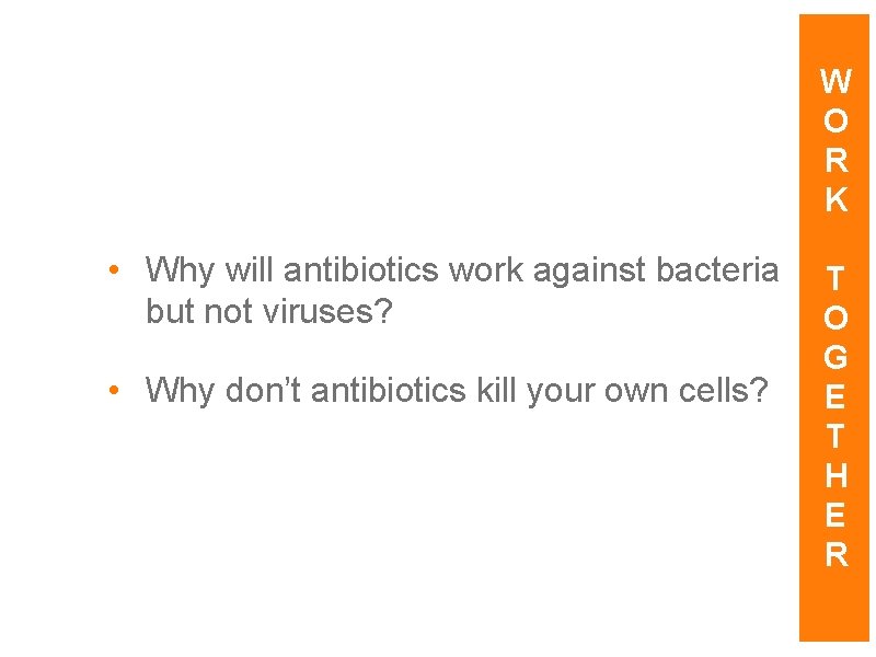 W O R K • Why will antibiotics work against bacteria but not viruses?