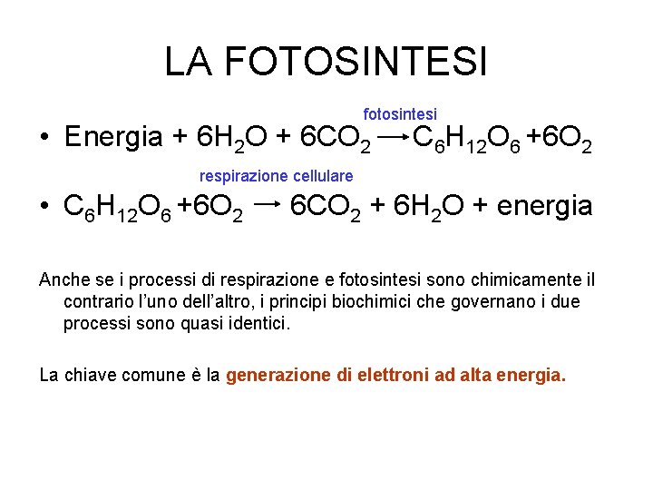 LA FOTOSINTESI fotosintesi • Energia + 6 H 2 O + 6 CO 2