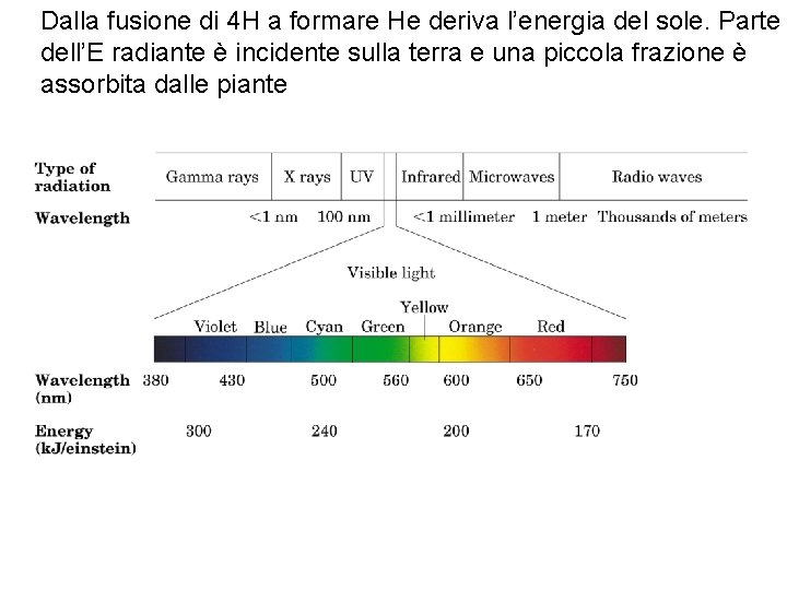 Dalla fusione di 4 H a formare He deriva l’energia del sole. Parte dell’E