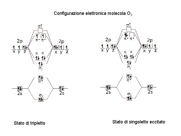 Configurazione elettronica molecola O 2 Stato di tripletto Stato di singoletto eccitato 