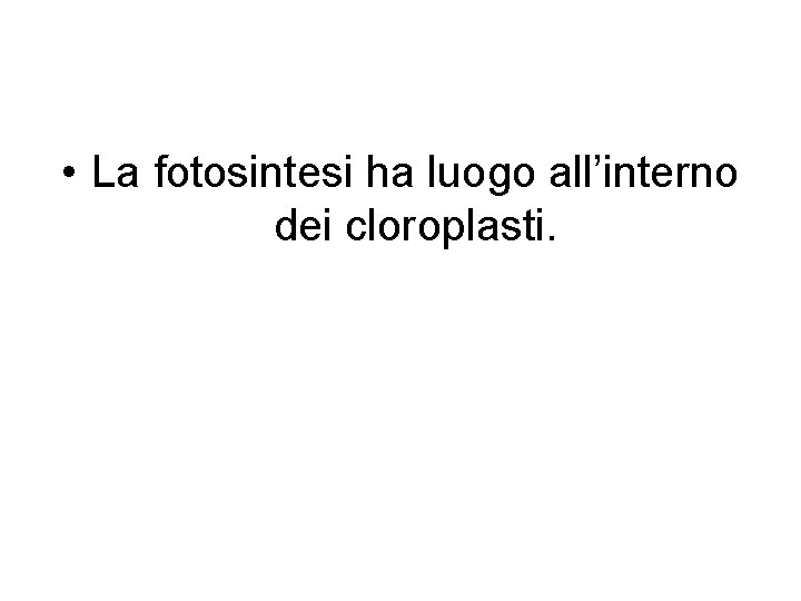  • La fotosintesi ha luogo all’interno dei cloroplasti. 