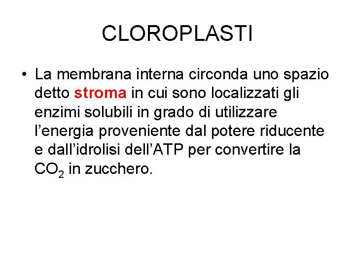 CLOROPLASTI • La membrana interna circonda uno spazio detto stroma in cui sono localizzati