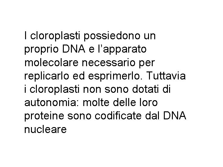 I cloroplasti possiedono un proprio DNA e l’apparato molecolare necessario per replicarlo ed esprimerlo.