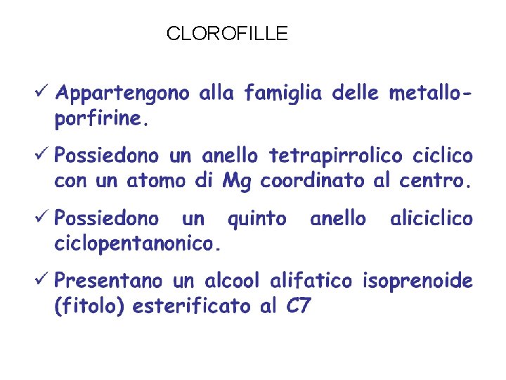 CLOROFILLE 