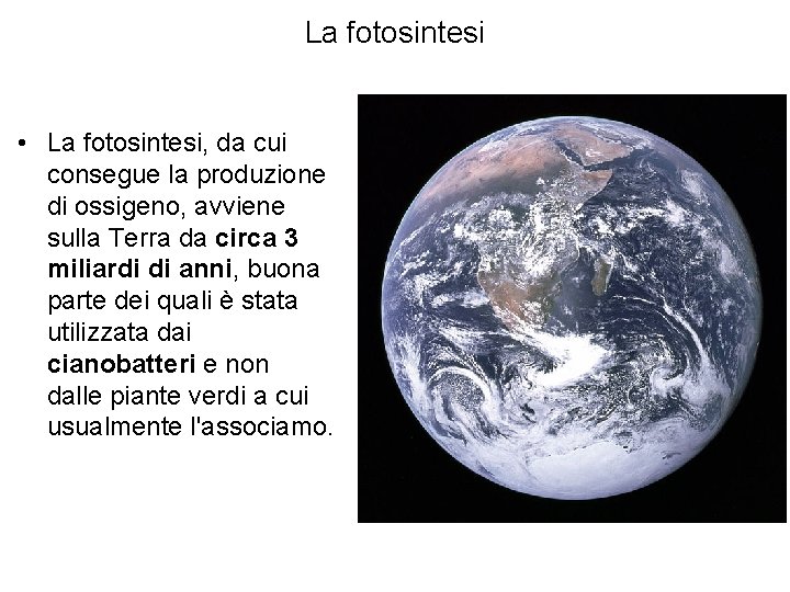 La fotosintesi • La fotosintesi, da cui consegue la produzione di ossigeno, avviene sulla