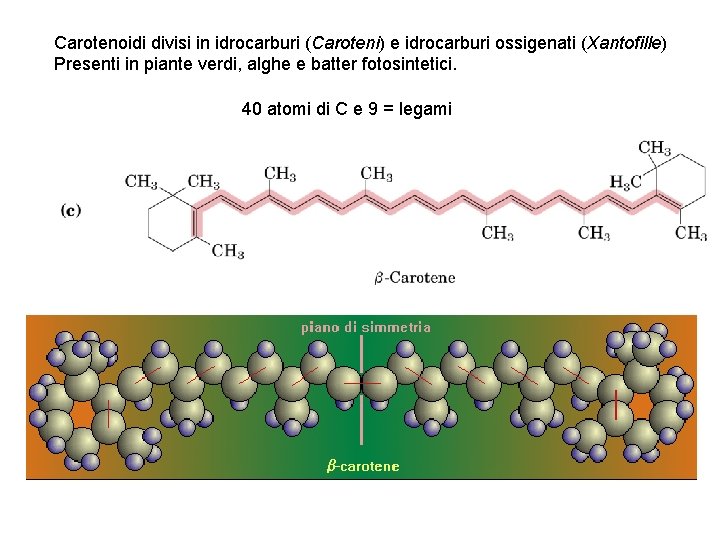 Carotenoidi divisi in idrocarburi (Caroteni) e idrocarburi ossigenati (Xantofille) Presenti in piante verdi, alghe