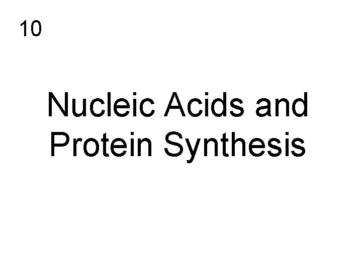 10 Nucleic Acids and Protein Synthesis 