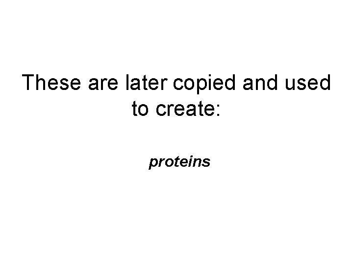 These are later copied and used to create: proteins 