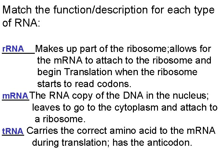 Match the function/description for each type of RNA: r. RNA ______Makes up part of