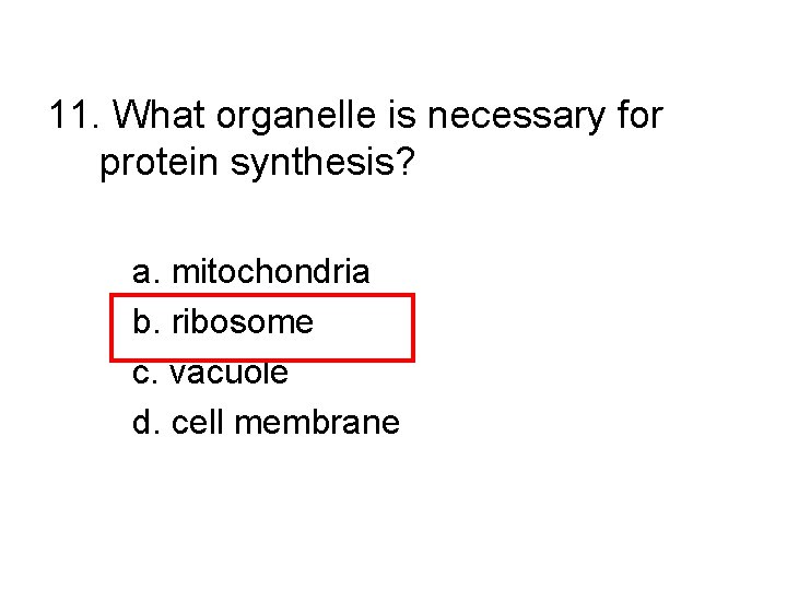 11. What organelle is necessary for protein synthesis? a. mitochondria b. ribosome c. vacuole
