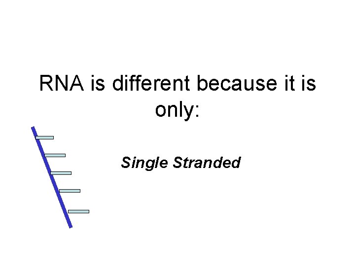 RNA is different because it is only: Single Stranded 