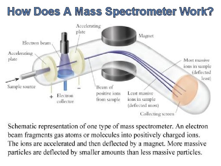 How Does A Mass Spectrometer Work? 